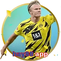 hay88 app