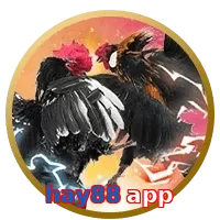 hay88 app