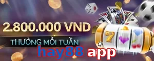 hay88 app