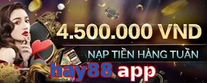 hay88 app