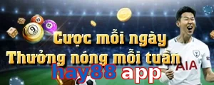 hay88 app